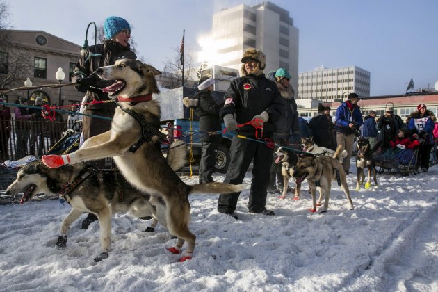 Почео је Ајдитарод, традиционална трка паса на саоницама чији је церемонијални старт био у Анкориџу на Аљасци...