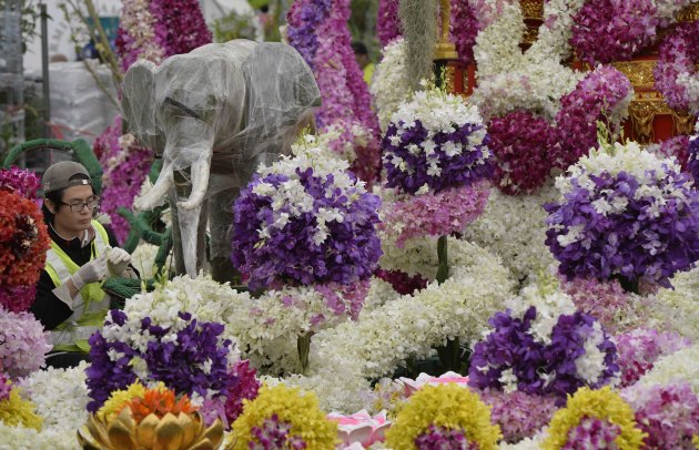 "Chelsea Flower Show" је највећа изложба цвијећа на свијету, а одржава се сваке године у Лондону...