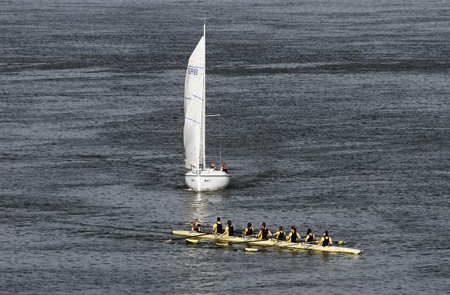 Трка студентских осмераца Међународне универзитетске веслачке регате одржана је на Дунаву код Новог Сада.