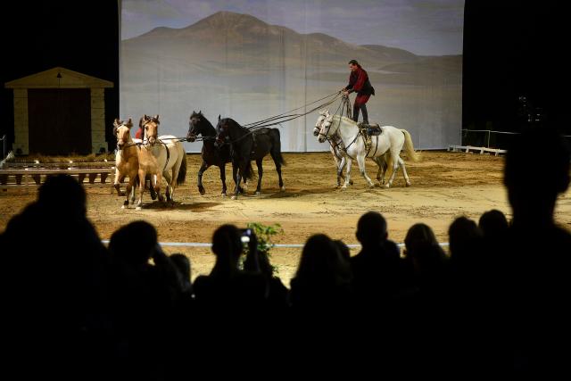 The Royal Horse Gala, "Pegasus", јединствени акробатски шоу са 20 расних коња у Комбак Арени