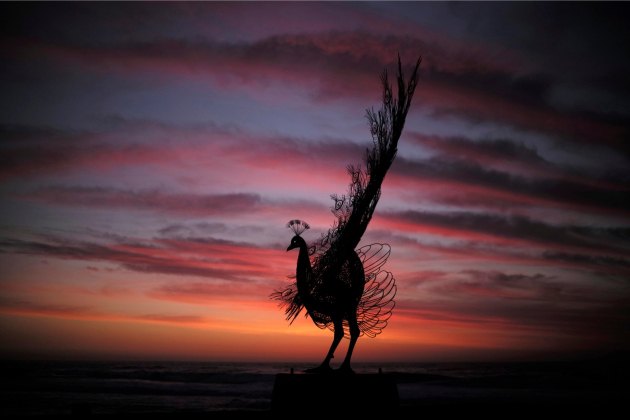 Дуж обале између плажа Бонди и Тамарама у Сиднеју, на потезу дугом два км, постављени су необични експонати изложбе "Скулптура покрај мора"...
