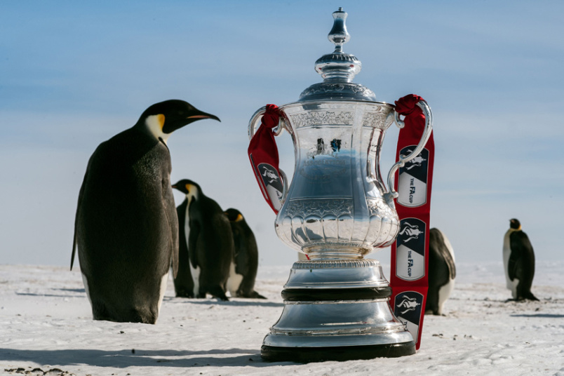 Пингвини око трофеја