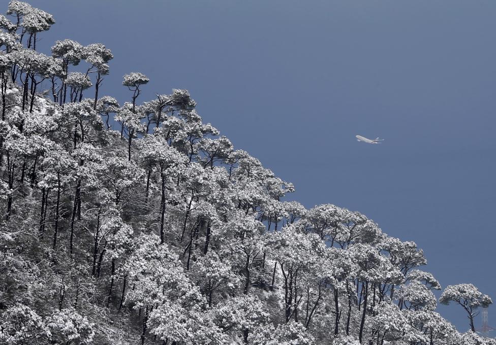Либан - Авион лети 700 метара изнад снијегом покривених борова
