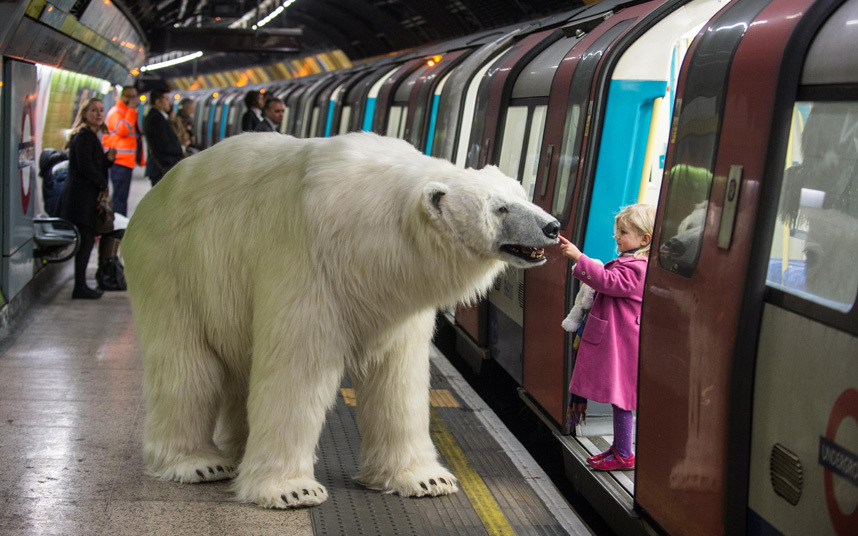 Потпуно анимирани одрасли мужјак поларног медвједа пуштен у лондонском "Charing Cross" метроу... (Енглеска)