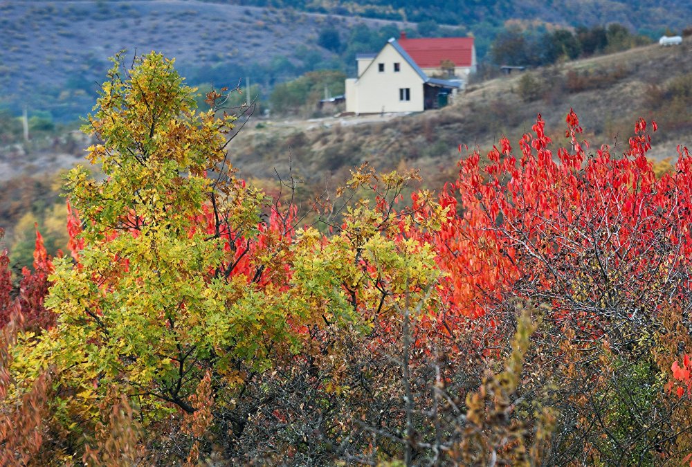 Идилична јесен на Криму   (Фото:Sputnik/ Sergey Malgavko)
