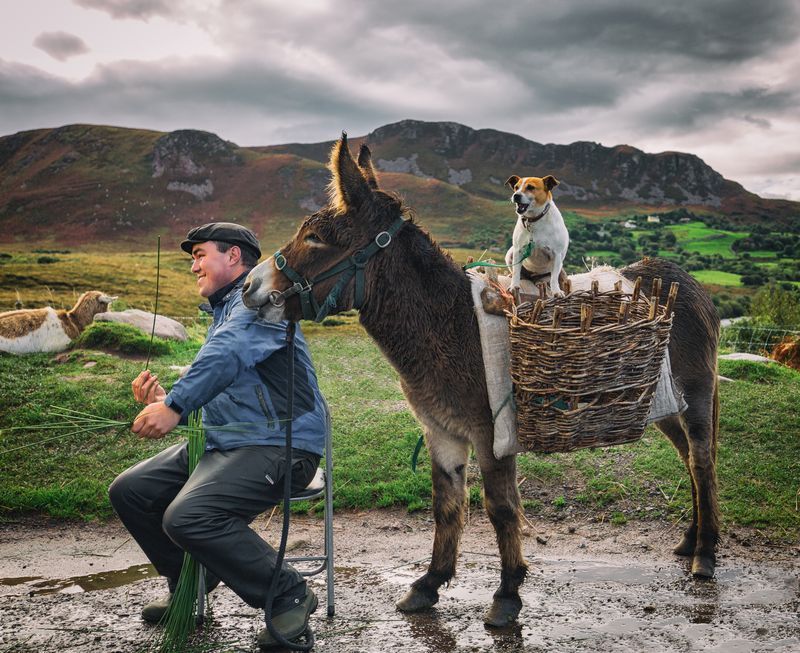 Насмејана тројка, негдје у Ирској... (Фото: National Geographic/Max Malloy)
