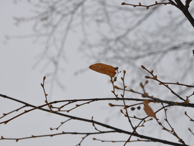 Вријеме, зима - Фото: РТРС