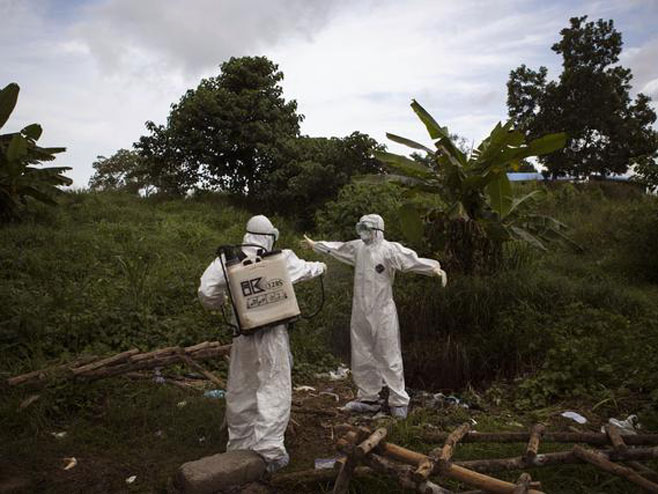 Ебола - Фото: Beta/AP