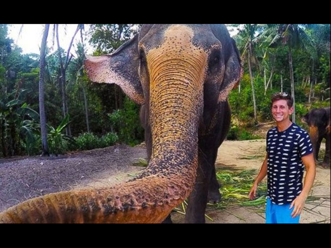 Слон украо телефон и направио селфи Фото: christian_leblanc / Instagram) - 