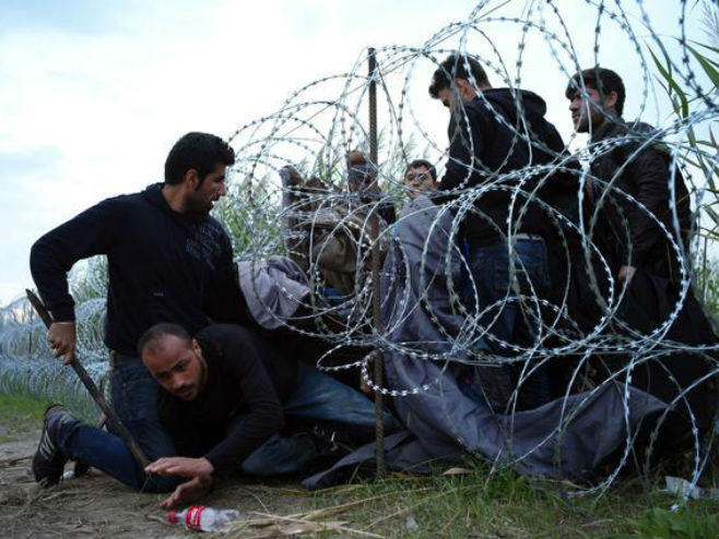 Мигранти на граници Србија - Мађарска - Фото: Beta/AP