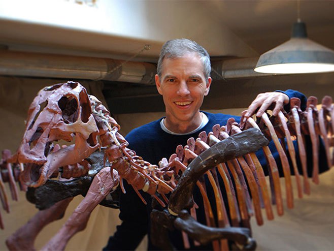 Реконструисани скелет зимског диносауруса (Фото: 3DS) - 