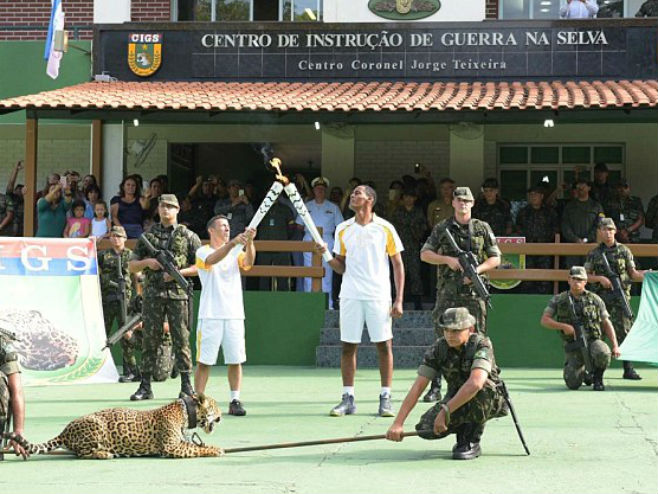 Бразил: Убили јагуара након церемоније проласка олимпијске бакље - 