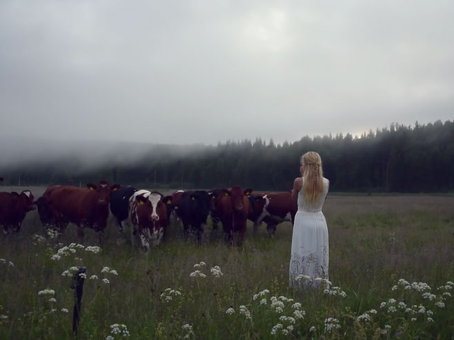 Шведска чобаница древном музиком привлачи краве као магнетом - Фото: Screenshot/YouTube