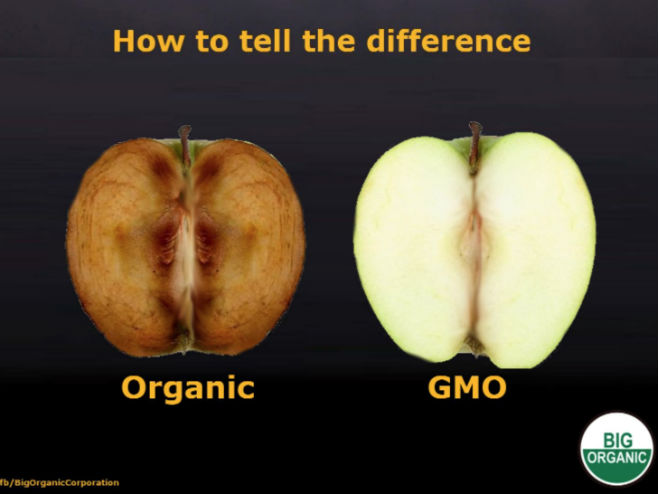 Разлика између органске и модификоване јабуке (Фото:  Big Organic) - 