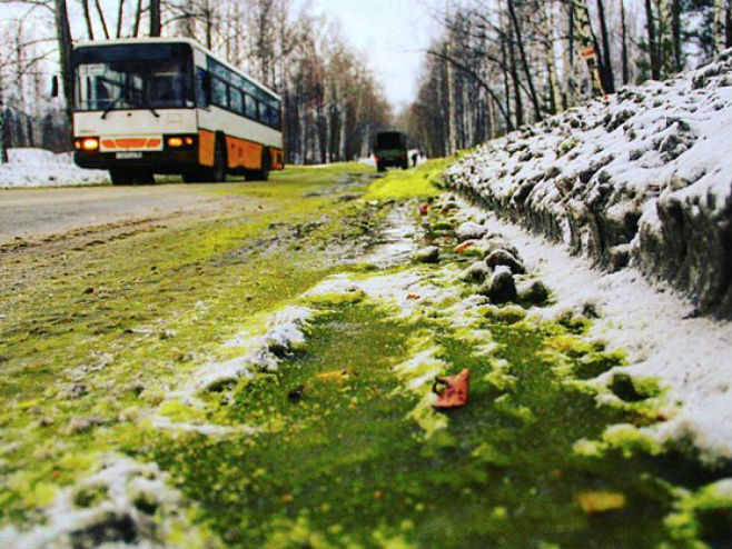 Зелени снијег у Русији (Фото: dailymail.co.uk) - 