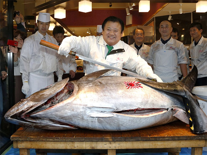 Плава туна - Фото: AP