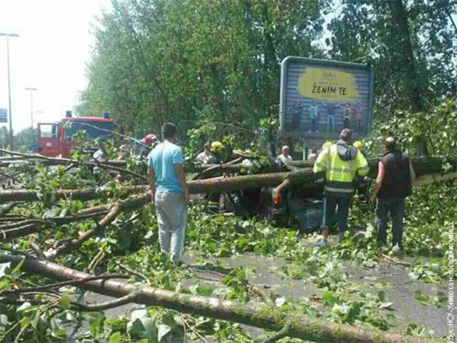 Нови Сад: Жена страдала када је дрво пало на аутомобил (Фото: РТС / НСУ - Уживо са новосадских улица) - 