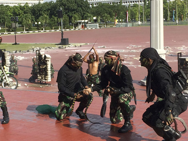 Индонезија: Командоси се боре са змијама (Фото: AP Photo/ Robert Burns) - 