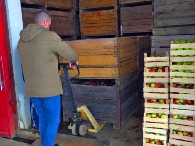 Складиштење воћа Складиштење воћа - Фото: РТРС