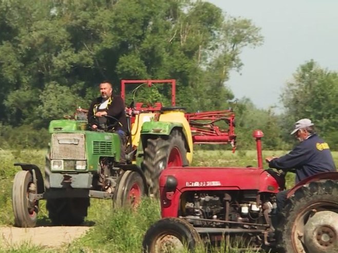 Пољопривреда Пољопривреда - Фото: РТРС