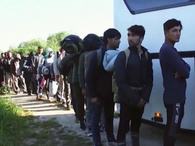 Мигранти Мигранти - Фото: РТРС