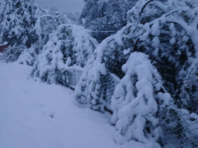 Снијег Снијег - Фото: РТРС