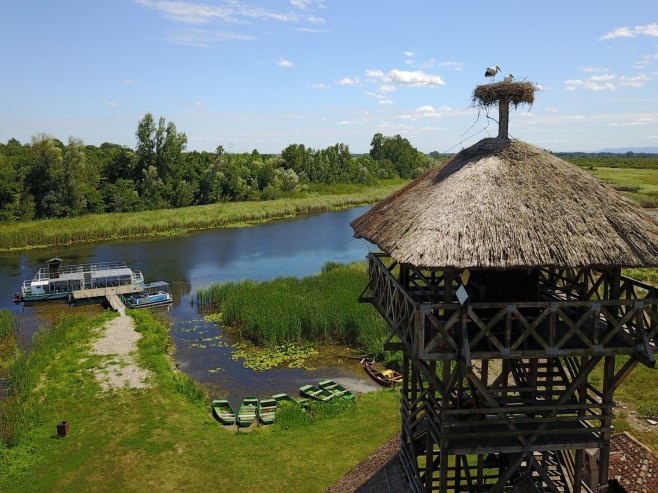 Сунчано и топло, максимална температура до 20 степени Сунчано и топло, максимална температура до 20 степени