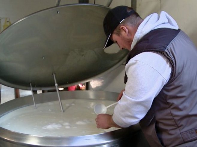 Производња млијека Производња млијека - Фото: РТРС