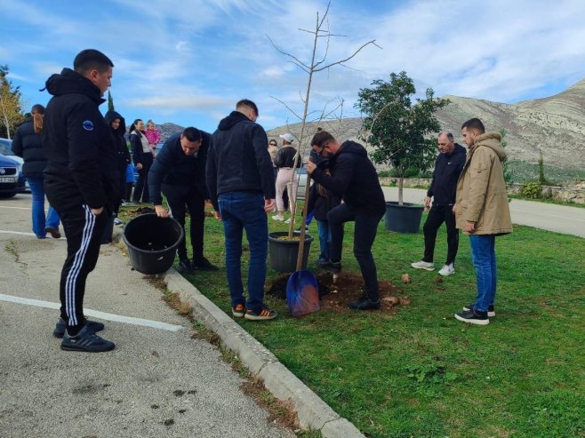 Грађанска одговорност ГКУД "Алат" - нови засади код Херцеговачке Грачанице (ФОТО/ВИДЕО) Грађанска одговорност ГКУД "Алат" - нови засади код Херцеговачке Грачанице (ФОТО/ВИДЕО)