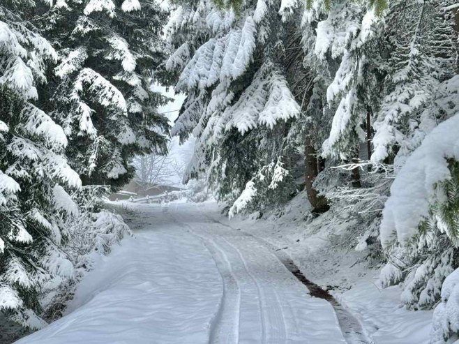 Јахорина Јахорина - Фото: РТРС