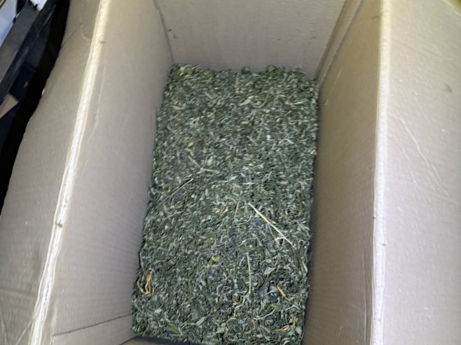 Одузета марихуана Одузета марихуана - Фото: Уступљена фотографија