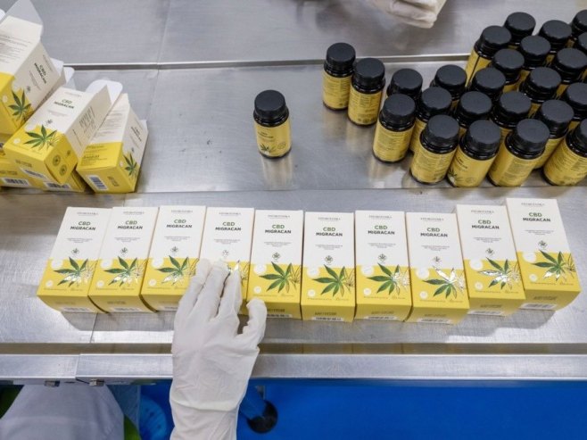 Канабис (фото: EPA/JALAL MORCHIDI - илустрација) Канабис (фото: EPA/JALAL MORCHIDI - илустрација) -