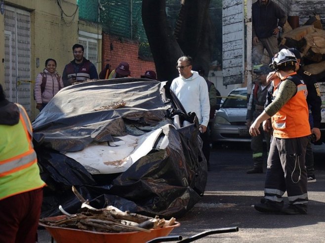 Земљотрес у Мексику (Фото: EPA/MADLA HARTZ) Земљотрес у Мексику (Фото: EPA/MADLA HARTZ) -