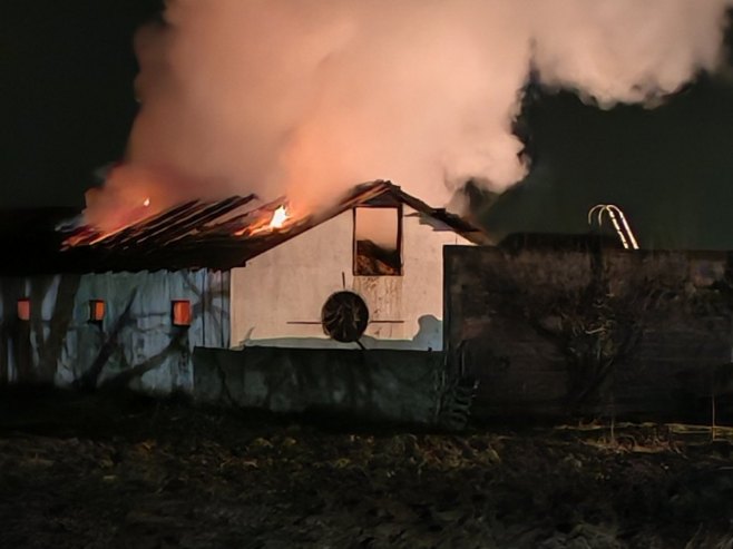 Фарма свиња, Бијељина Фарма свиња, Бијељина - Фото: РТРС