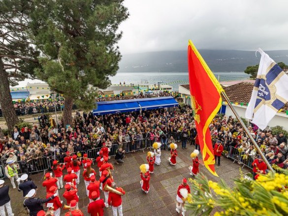 Празник настављен фештом од мимозе, рибе и вина у Баошићима Празник настављен фештом од мимозе, рибе и вина у Баошићима