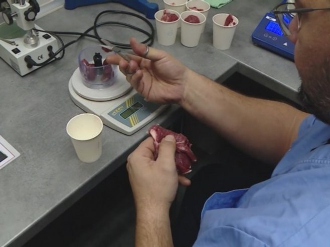 Анализа меса Анализа меса - Фото: РТРС