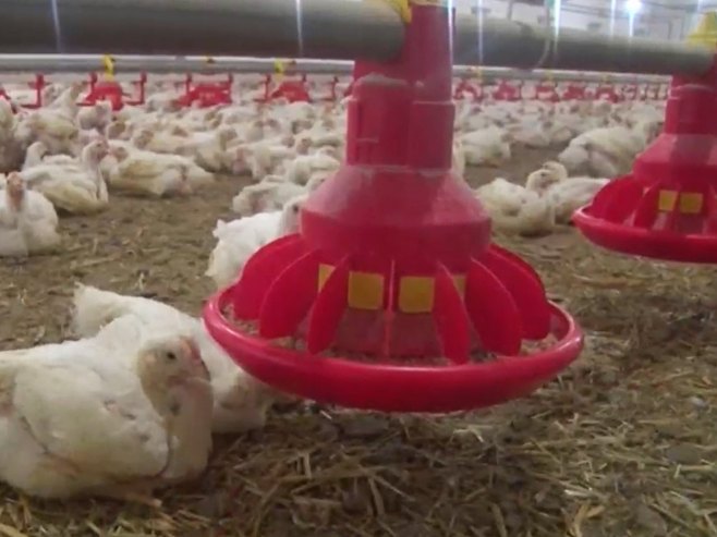 Перадарство Перадарство - Фото: РТРС