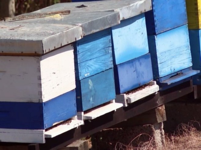 Кошнице Кошнице - Фото: РТРС