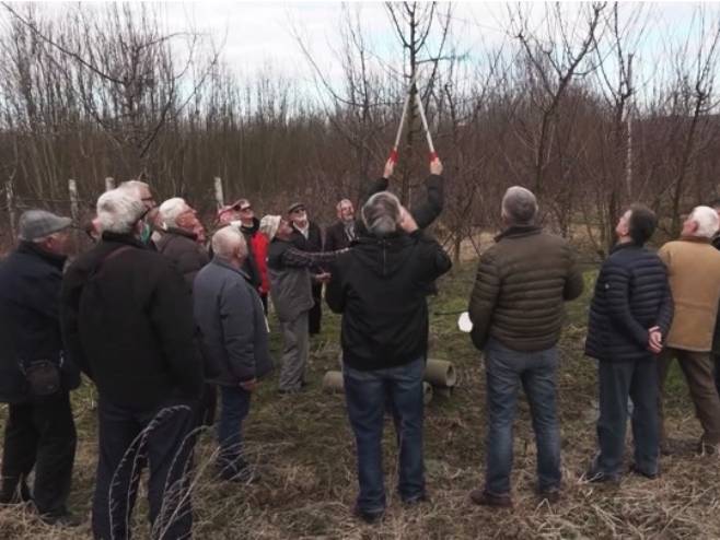 Добој - пчеларско-воћарски курс за пензионере Добој - пчеларско-воћарски курс за пензионере - Фото: РТРС