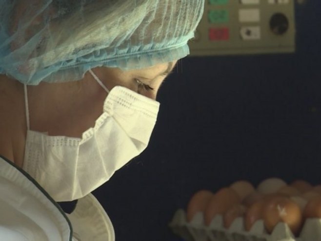 Птичији грип Птичији грип - Фото: РТРС