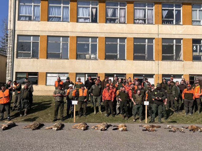 "Шакалијада" код Челинца окупила више од 300 ловаца (ВИДЕО) "Шакалијада" код Челинца окупила више од 300 ловаца (ВИДЕО)