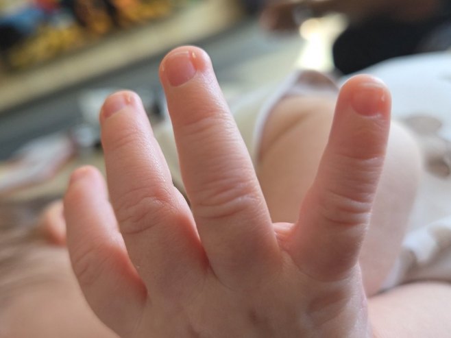 Беба Беба - Фото: РТРС