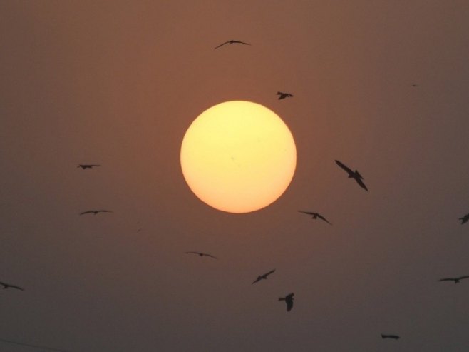 Сунце (Фото: EPA/SHAHZAIB AKBER, илустрација) Сунце (Фото: EPA/SHAHZAIB AKBER, илустрација) -