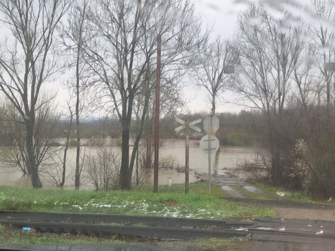 Гомјеница Гомјеница - Фото: Уступљена фотографија
