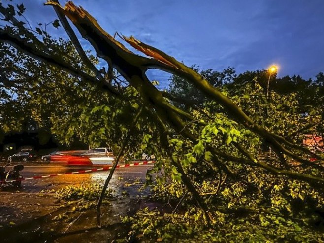 Њемачка: Погинуле три особе када је на њих пало дрво, међу жртвама дијете Њемачка: Погинуле три особе када је на њих пало дрво, међу жртвама дијете