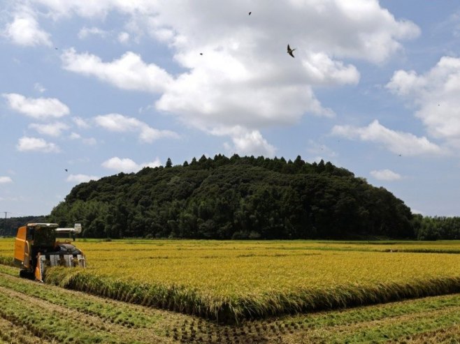Пољопривреда (Фото: EPA/FRANCK ROBICHON/илустрација) Пољопривреда (Фото: EPA/FRANCK ROBICHON/илустрација) -