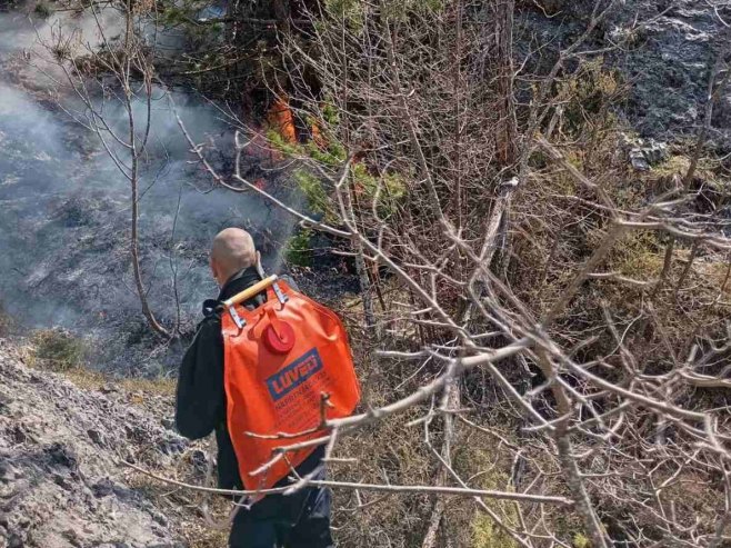 Пожар између Требиња и Никшића Пожар између Требиња и Никшића - Фото: Уступљена фотографија