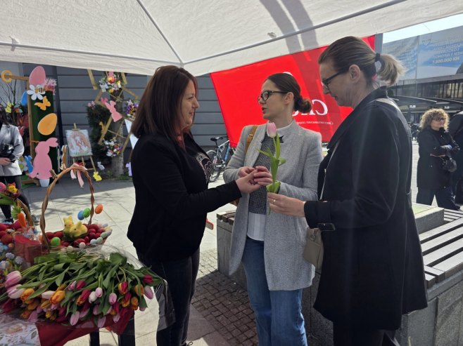 СНСД Дубица СНСД Дубица - Фото: РТРС