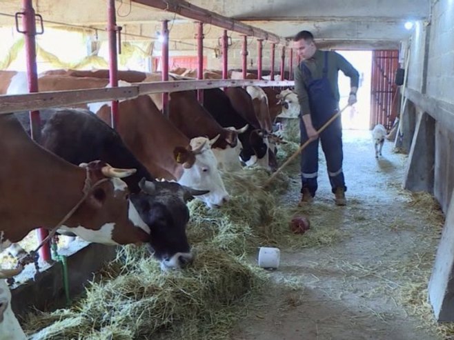 Пољопривреда Пољопривреда - Фото: РТРС