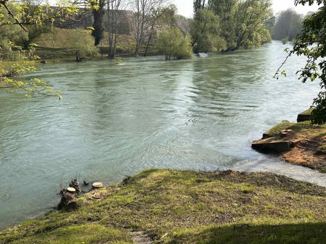 Сјеча стабала уз Врбас Сјеча стабала уз Врбас - Фото: РТРС